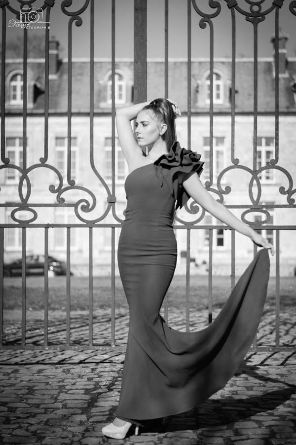 Chateau De Plessier-Roza Le Plessier-Rozainvillers Esterno foto
